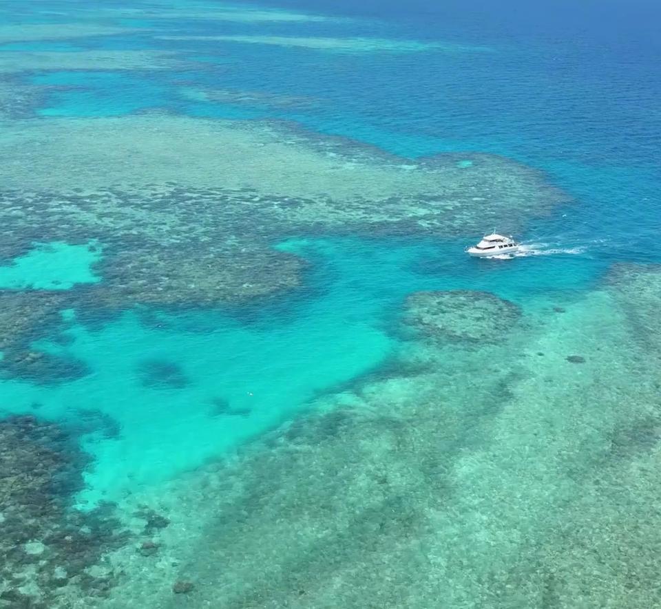 Great Barrier Reef | Bedarra Island Resort